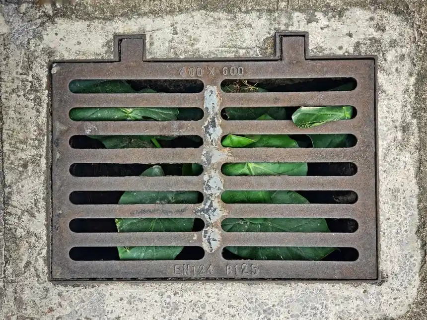 Sewer Drain Repair