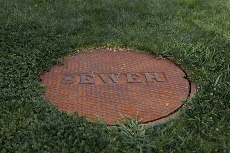 Sewer Line Replacement in Alpharetta, Georgia